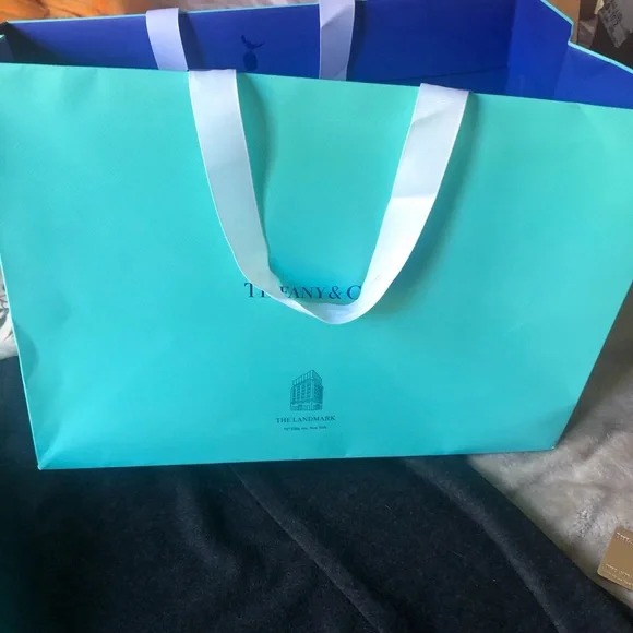 Tiffany & Co. Two large shopping bags and Landmark charm - Picture 10 of 12